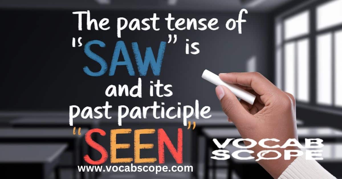 What is the Past Tense of See and its Past Participle (2)