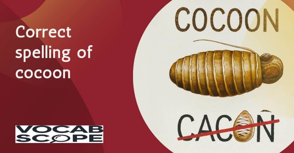 Why Cocoon is the Correct Spelling